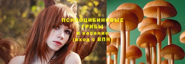 Альфа ПВП Покачи