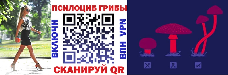 Купить  Кольчугино  Псилоцибиновые грибы Magic Shrooms 