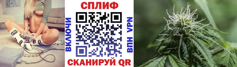 Купить где Кольчугино Бошки марихуана планчик